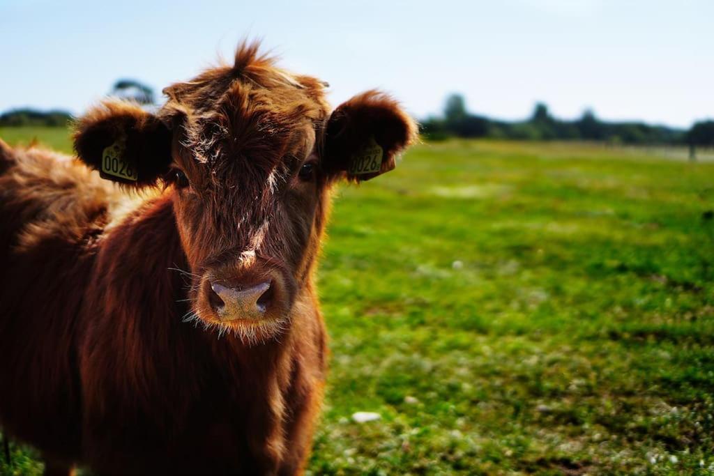 Gite De Charme A La Ferme - Duplex Landrévarzec Exteriér fotografie
